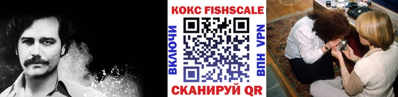 где найти   Нелидово  Cocaine FishScale 