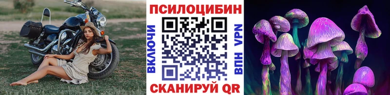 Псилоцибиновые грибы Psilocybine cubensis  Нелидово 